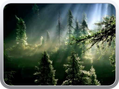 Famous Quotes on life and beautiful nature photos.