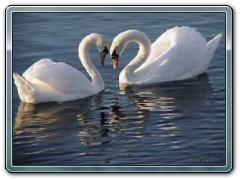 STAMATIS SPANOUDAKIS - Beautiful Nature