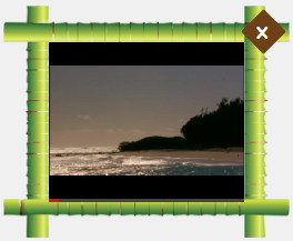 Bamboo Template Bamboo Template