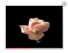 Catalyst Template Catalyst Template