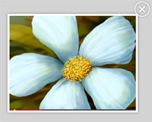 Metro Template Metro Template